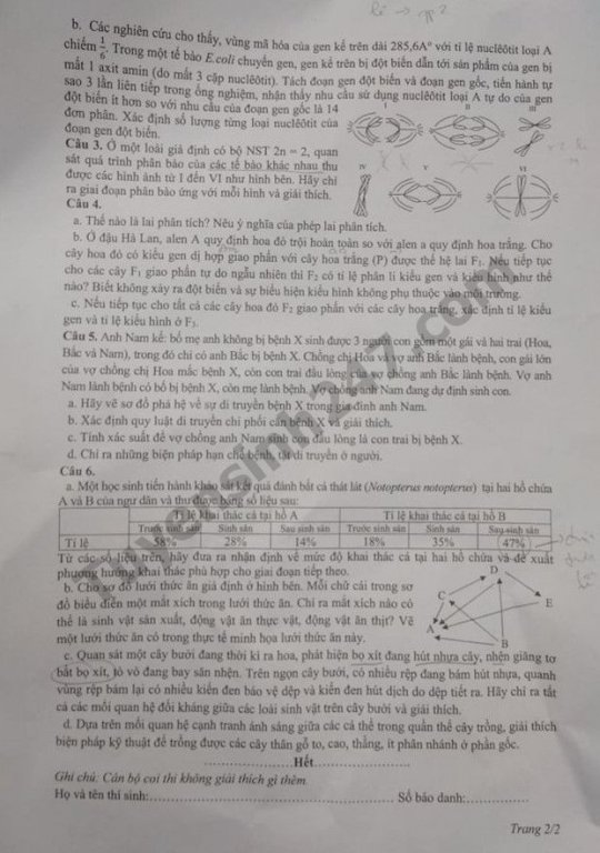 Đề thi vào lớp 10 môn Sinh Chuyên - THPT Chuyên Sư phạm Hà Nội và đáp án 2019