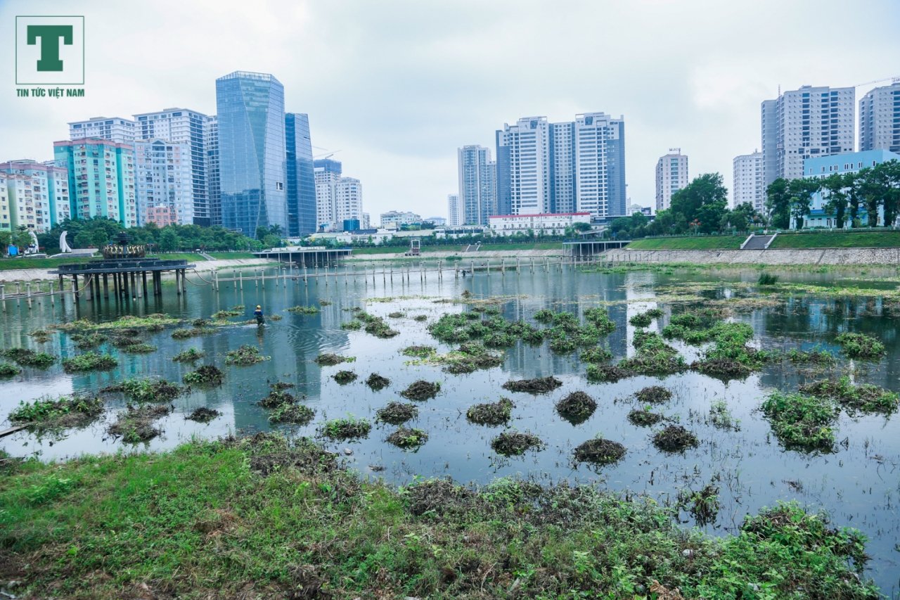 cong-vien-thanh-xuan