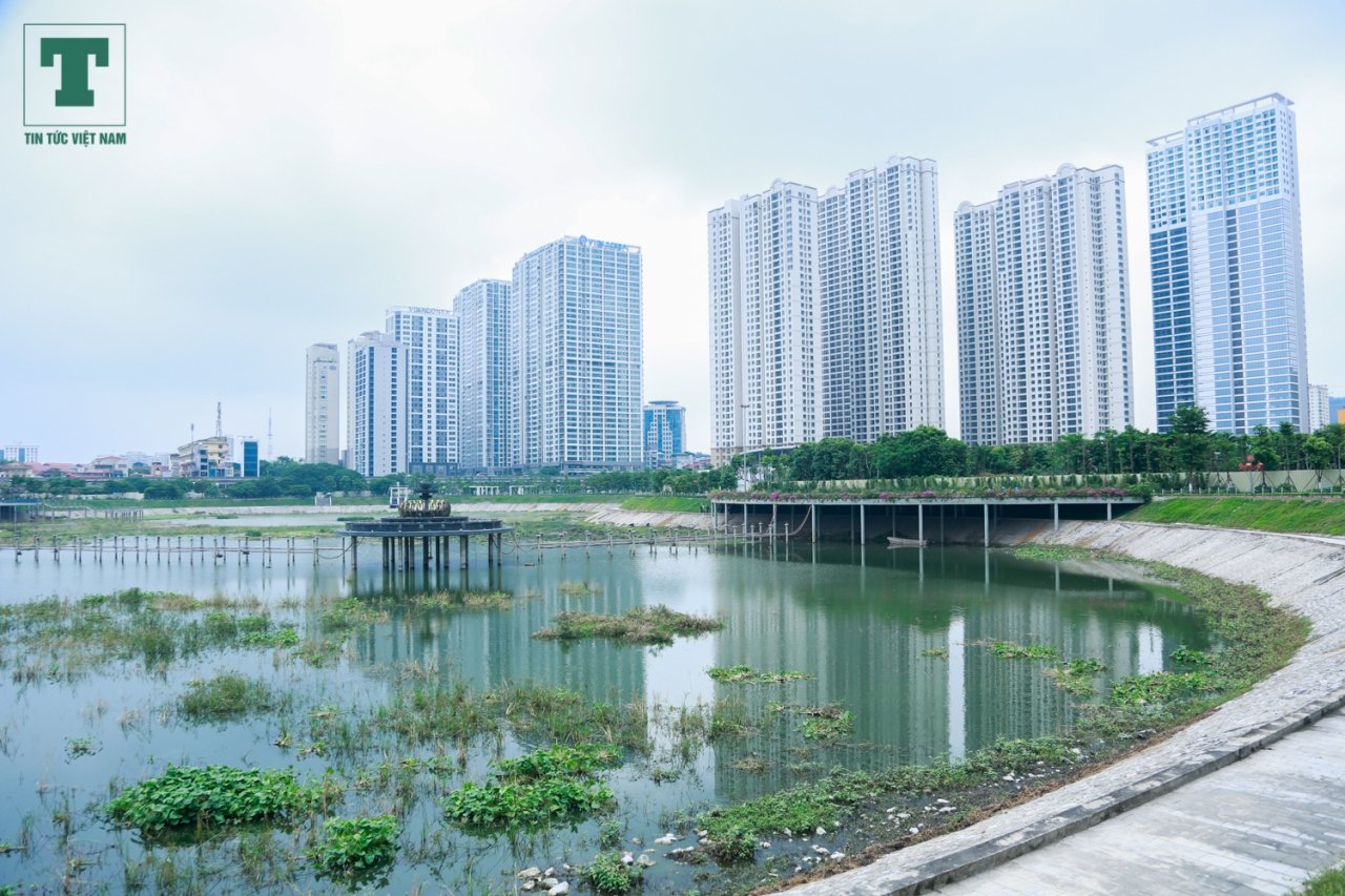 cong-vien-thanh-xuan