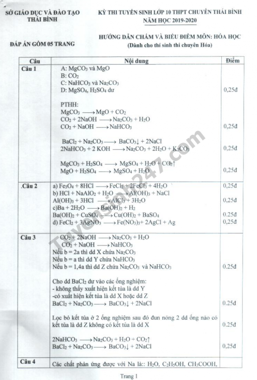 de-thi-vao-lop-10-mon-hoa-chuyen-thpt-chuyen-thai-binh-va-dap-an-2019