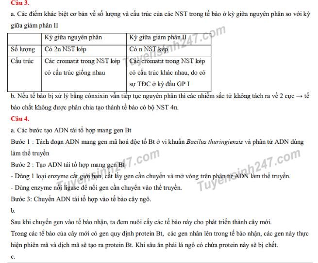 de-thi-vao-lop-10-mon-sinh-chuyen-thpt-khoa-hoc-tu-nhien-va-dap-an-2019