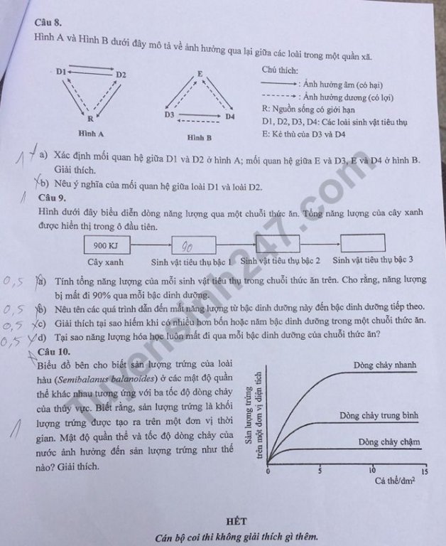 Đề thi vào lớp 10 môn Sinh Chuyên - THPT Khoa học Tự nhiên và đáp án 2019