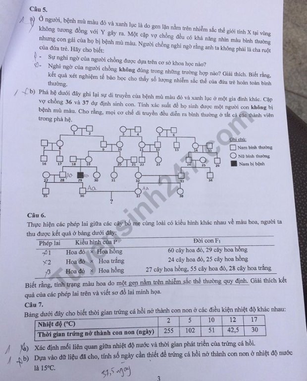 de-thi-vao-lop-10-mon-sinh-chuyen-thpt-khoa-hoc-tu-nhien-va-dap-an-2019