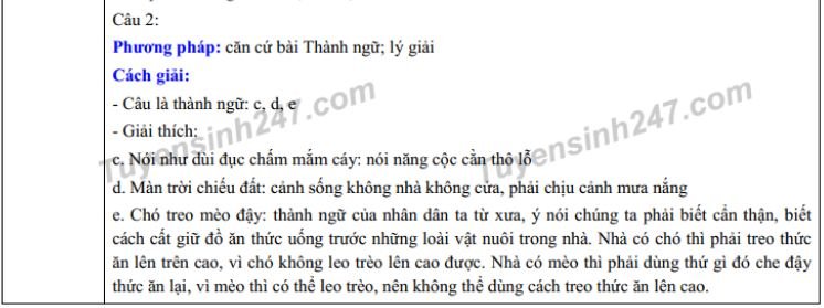de-thi-vao-lop-10-mon-van-thpt-chuyen-le-hong-phong-nam-dinh-va-dap-an-2019