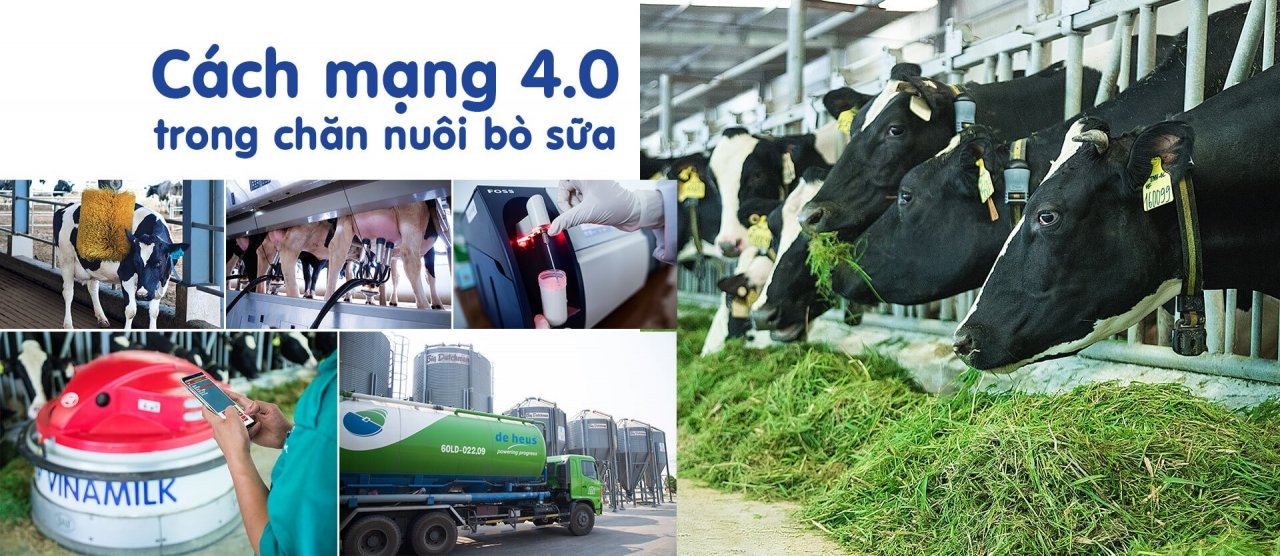 mot-vong-kham-pha-trang-trai-thong-minh-cua-vinamilk