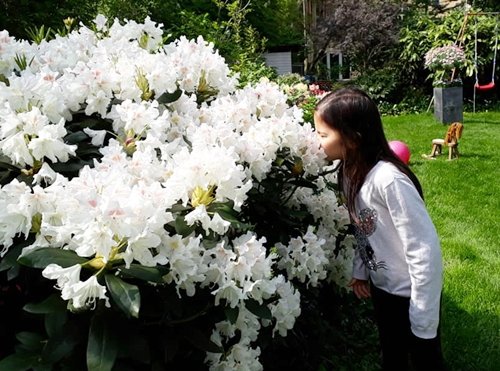 Hai con gái của chị rất thích chơi ở khu vườn, và thường phụ giúp bố mẹ chăm sóc các cây hoa.