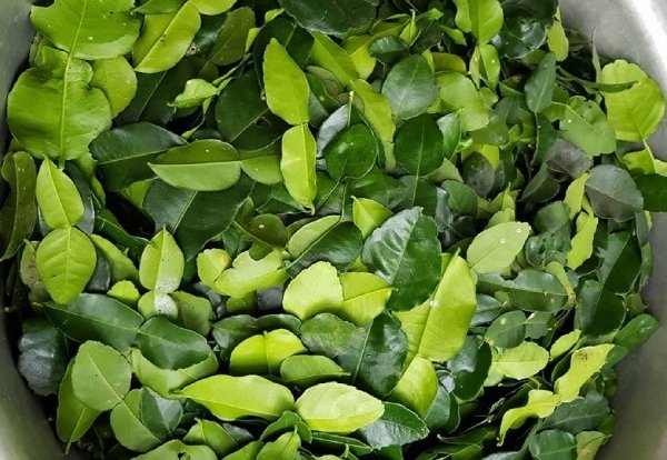 Gà Trung Quốc 80 ngàn/con, lá chanh Thái 1 triệu/kg đổ về Việt Nam Gà Trung Quốc 80 ngàn/con, lá chanh Thái 1 triệu/kg đổ về Việt Nam