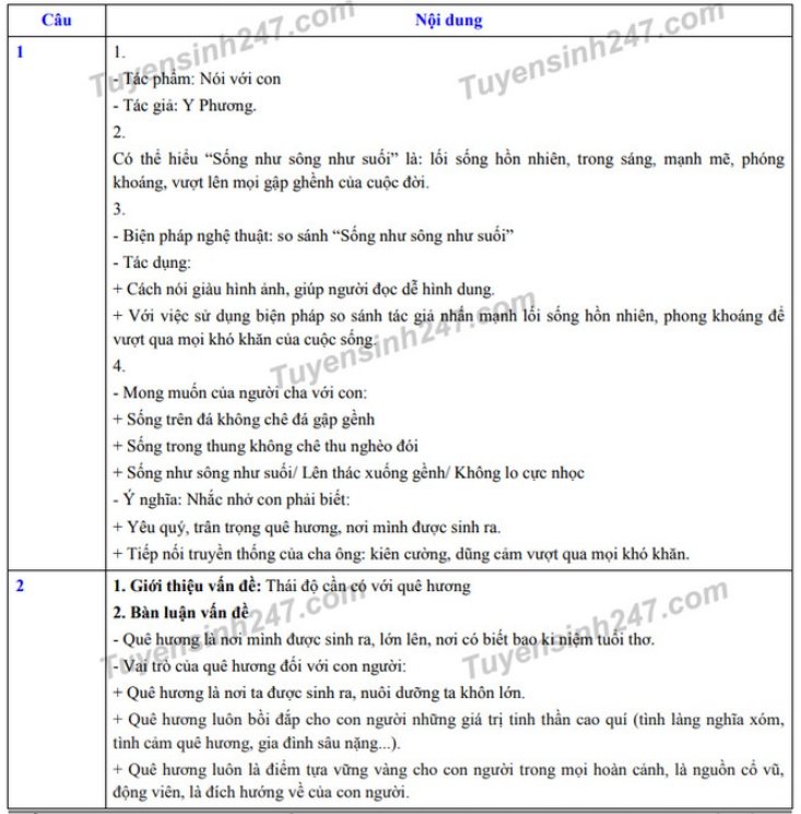 dap-an-de-thi-lop-10-thpt-mon-van-tinh-hai-duong-nam-2019