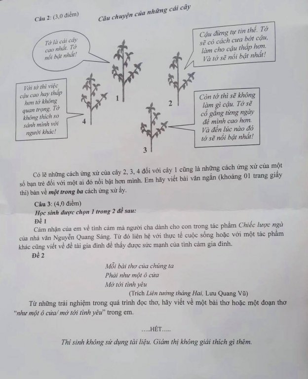 Đề thi vào lớp 10 năm 2019 môn Văn thành phố Hồ Chí Minh