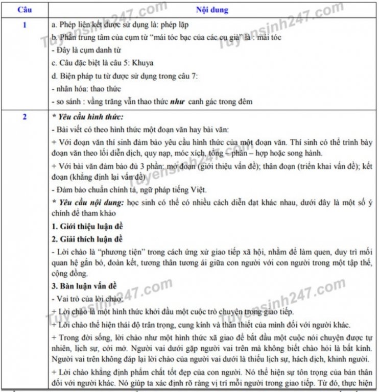 dap-an-de-thi-vao-lop-10-nam-2019-mon-van-thanh-pho-da-nang
