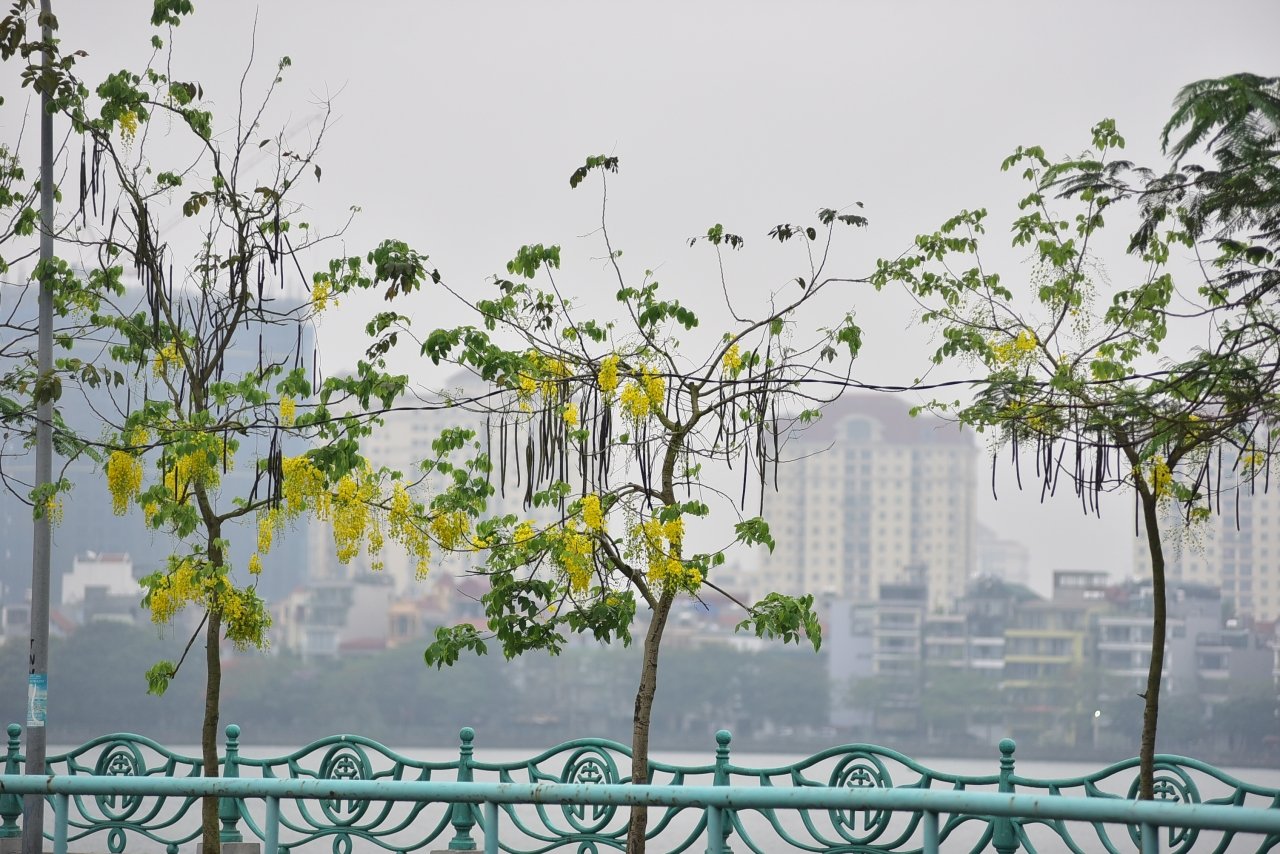 muong-hoang-yen