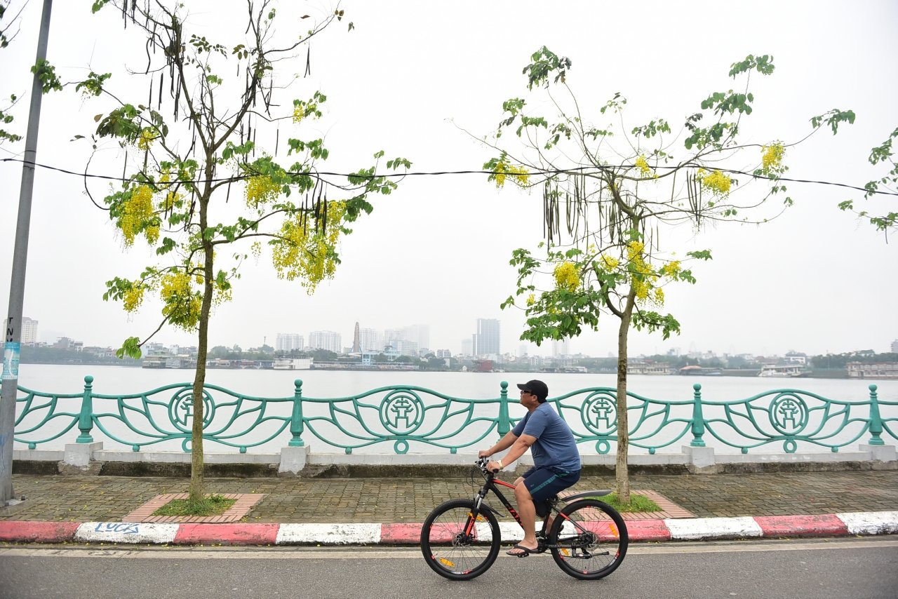 Mỗi buổi sáng thức dậy đạp xe trên lối đi ven hồ rợp hoa vàng, gió thổi nhẹ và trong lành thực sự là một trải nghiệm không thể ở đâu có thể tuyệt vời bằng.