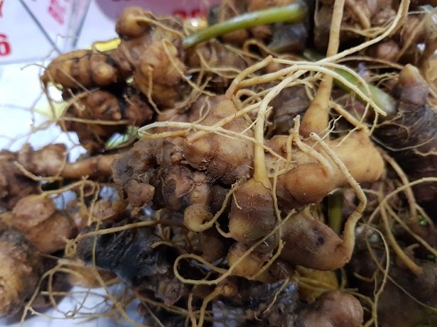 thu-hut-hon-1000-luot-khach-tham-quan-va-mua-sam-cho-sam-ngoc-linh-thu-ve-46-ty-dong