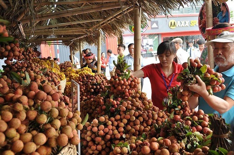 tin-kinh-te-24h-ngay-36-khong-tang-gia-dich-vu-cong-don-dap-trung-quoc-ngam-fedex-de-tra-dua-my