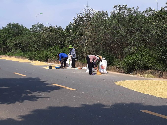 Trong Luật Giao thông đường bộ, tại Điểm a, Khoản 1, Điều 11, Nghị định 171 ngày 13/11/2013 của Chính phủ quy định rõ các mức xử phạt hành chính về hành vi này. Cụ thể, phạt tiền từ 100.000 - 200.000 đồng đối với một trong các hành vi vi phạm: Phơi lúa, rơm, rạ, nông, lâm, hải sản trên đường bộ.