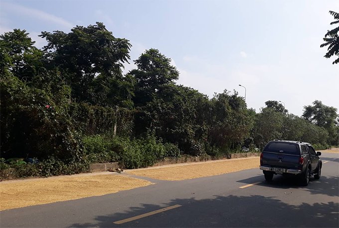 Để chấm dứt tình trạng lấn chiếm lòng, lề đường làm sân phơi thóc, chính quyền địa phương, cơ quan chức năng cần xử lý nghiêm các trường hợp vi phạm. Bên cạnh đó, người dân nên thay đổi ý thức, chấp hành các quy định và đảm bảo trật tự an toàn giao thông, không để những vụ tai nạn giao thông đáng tiếc xảy ra.