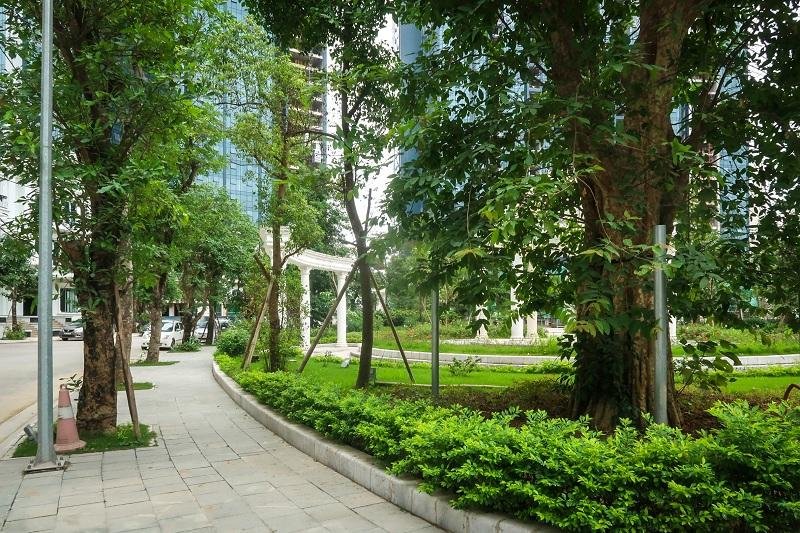 lac-loi-giua-khong-gian-xanh-chuan-resort-5-sao-tai-tay-ho-tay