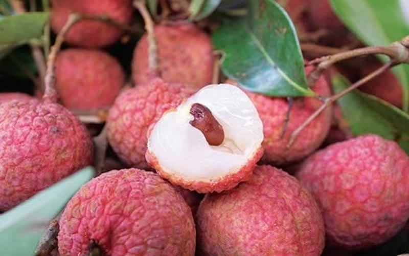 nhung-mon-an-khong-the-thieu-trong-ngay-tet-doan-ngo