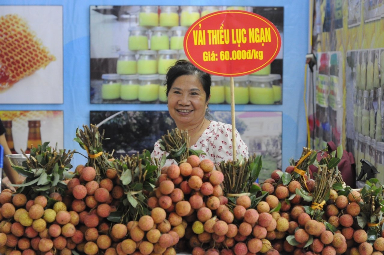 khai-mac-tuan-le-vai-thieu-luc-ngan-2019-tai-ha-noi