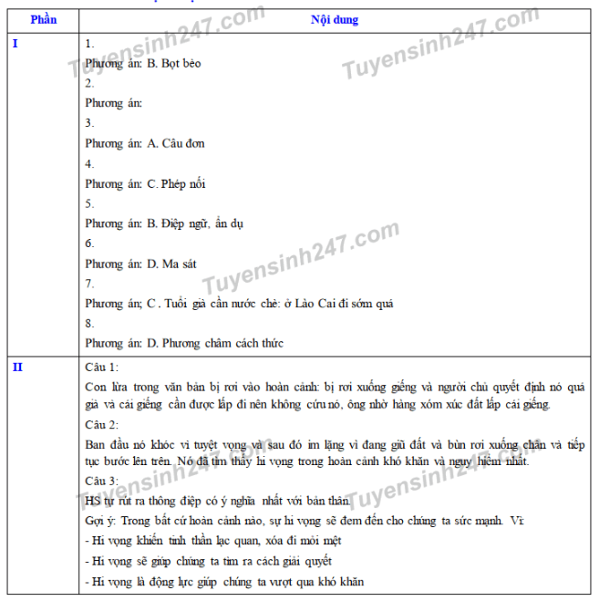 dap-an-de-thi-vao-lop-10-nam-2019-mon-van-tinh-nam-dinh
