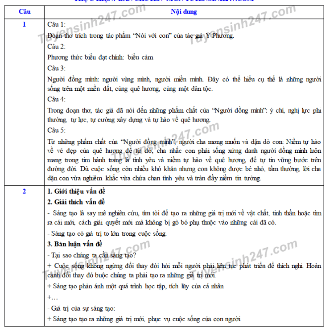 dap-an-de-thi-vao-lop-10-nam-2019-mon-van-tinh-thai-binh