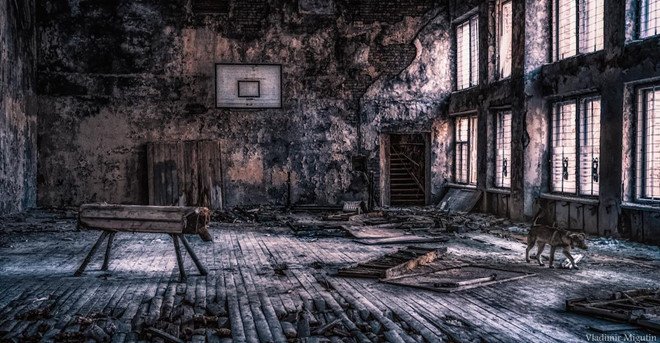 vung-dat-chet-chernobyl-hoa-xu-than-tien-qua-ong-kinh-nhiep-anh-gia