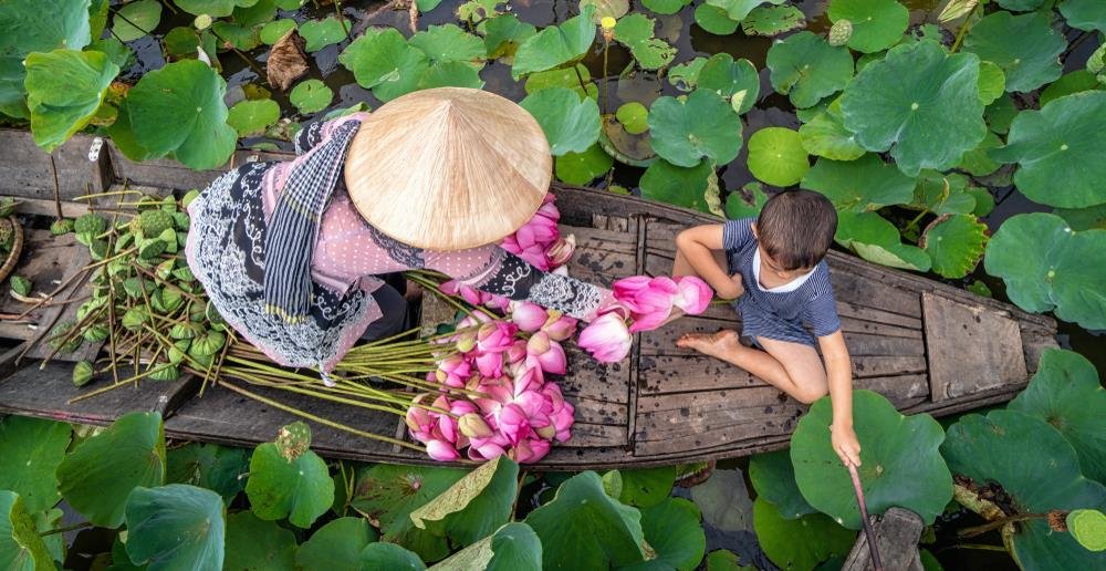 ngan-ngo-truoc-nhung-canh-dong-sen-dep-nhat-viet-nam