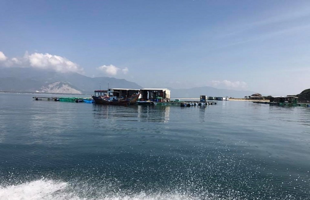 oc-dao-diep-son-noi-trai-gai-khong-dam-yeu-nhau-ca-lang-khong-bao-gio-co-trom