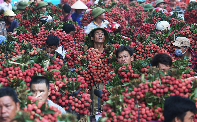 dau-an-nhung-khoanh-khac-cua-su-dan-than