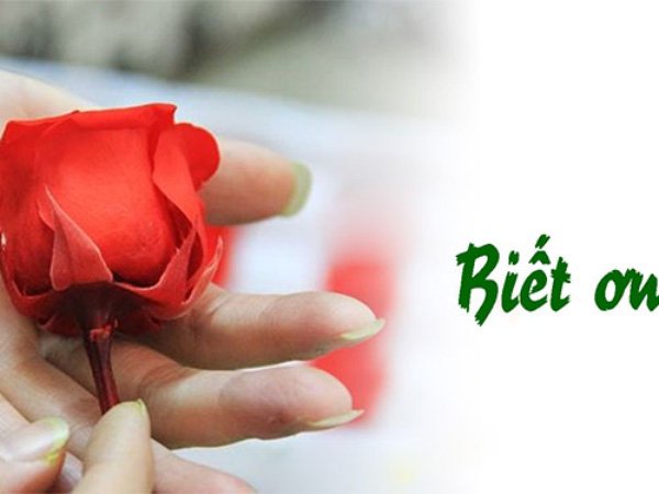 hoc-cach-biet-on-nhung-nguoi-da-ham-hai-minh-ban-moi-cam-thay-hanh-phuc