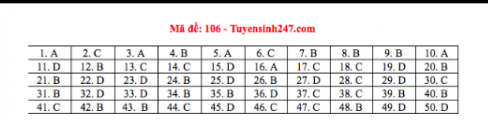 de-thi-va-dap-an-mon-toan-thpt-quoc-gia-2019-ma-de-106