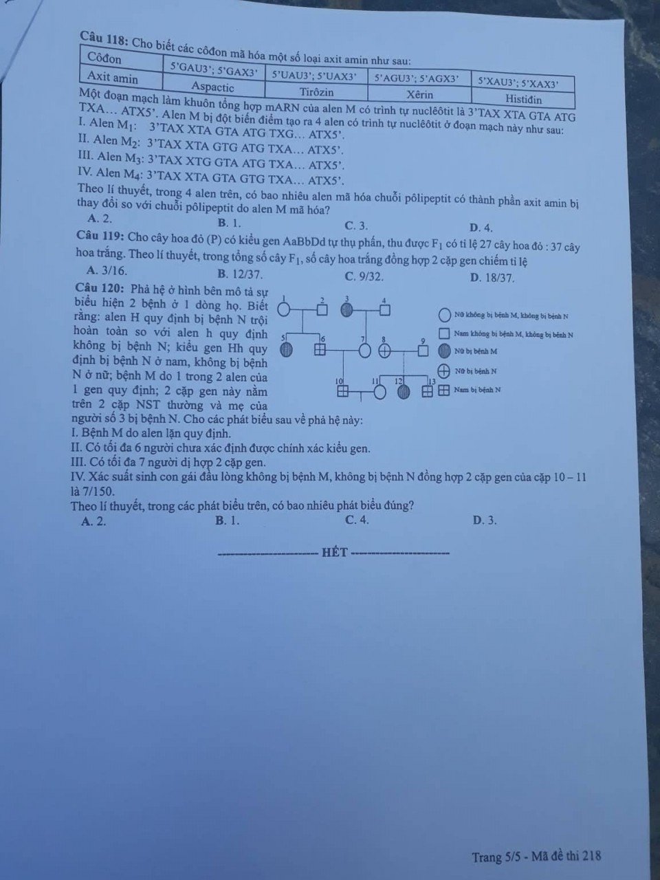65309341_468038827305856_1942172876832505856_n