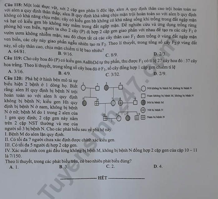 Đề thi và đáp án môn Sinh học THPT quốc gia 2019 mã đề 201. Ảnh: Tuyensinh247