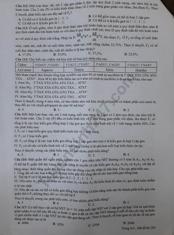 Đề thi và đáp án môn Sinh học THPT quốc gia 2019 mã đề 201. Ảnh: Tuyensinh247