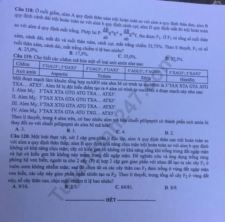 Đề thi và đáp án môn Sinh học THPT quốc gia 2019 mã đề 204. Ảnh: Tuyensinh247