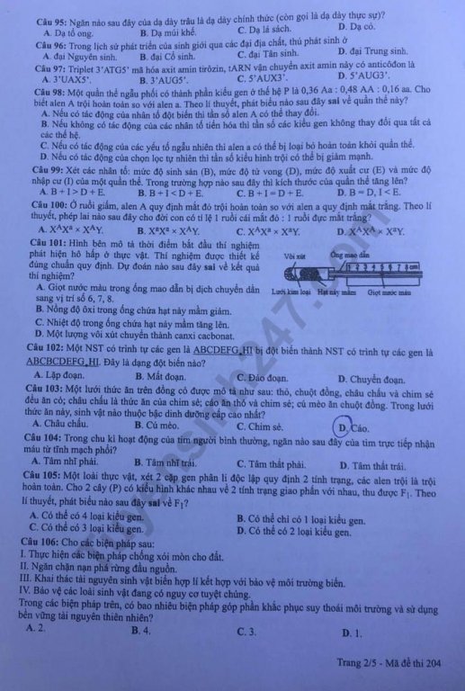 Đề thi và đáp án môn Sinh học THPT quốc gia 2019 mã đề 204. Ảnh: Tuyensinh247