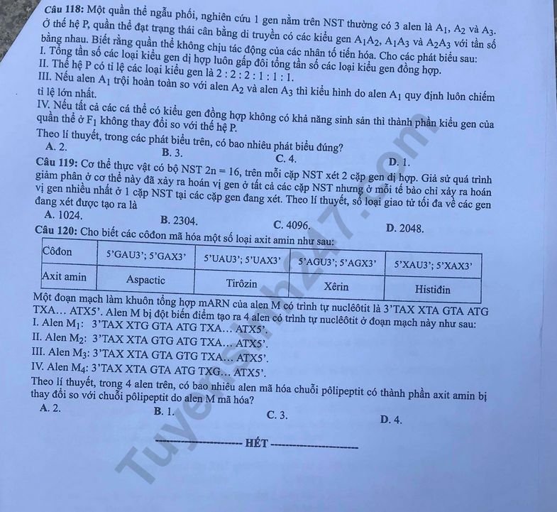 Đề thi và đáp án môn Sinh học THPT quốc gia 2019 mã đề 209