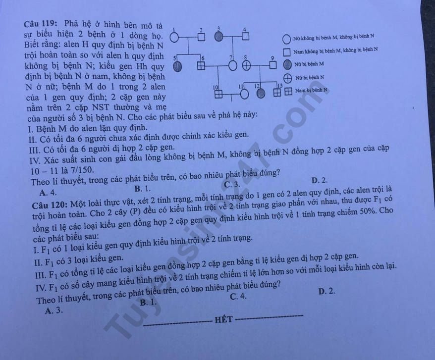 Đề thi và đáp án môn Sinh THPT quốc gia 2019 mã đề 212