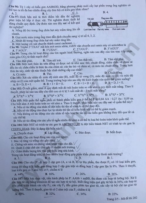 de-thi-va-dap-an-mon-sinh-thpt-quoc-gia-2019-ma-de-202