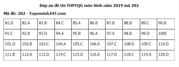 Đề thi và đáp án môn Sinh THPT quốc gia 2019 mã đề 202