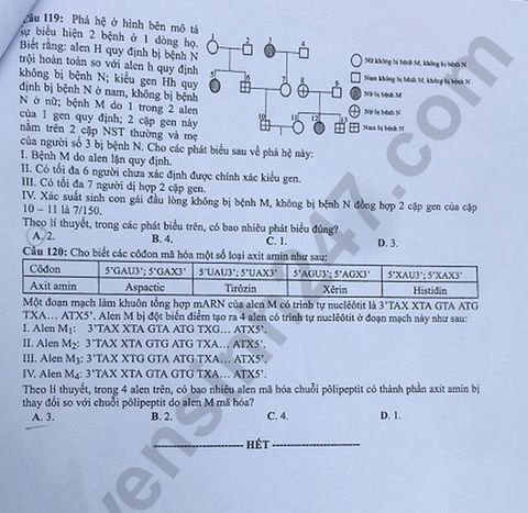 Đề thi và đáp án môn Sinh THPT quốc gia 2019 mã đề 202