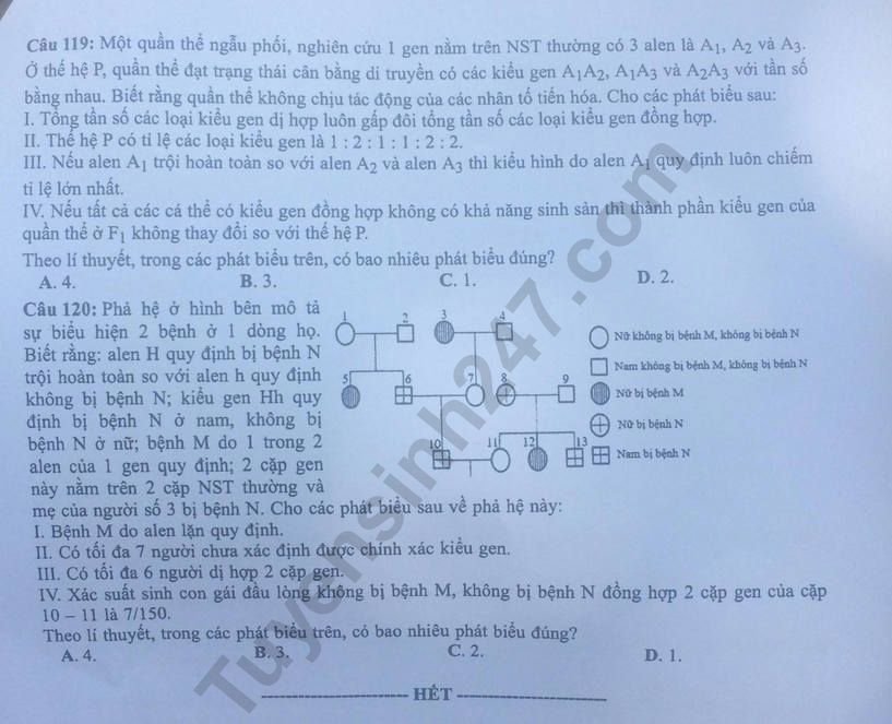 Đề thi và đáp án môn Sinh THPT quốc gia 2019 mã đề 205