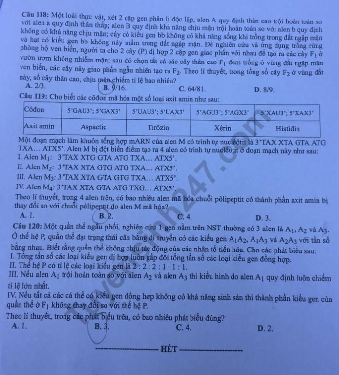de-thi-va-dap-an-mon-sinh-thpt-quoc-gia-2019-ma-de-207