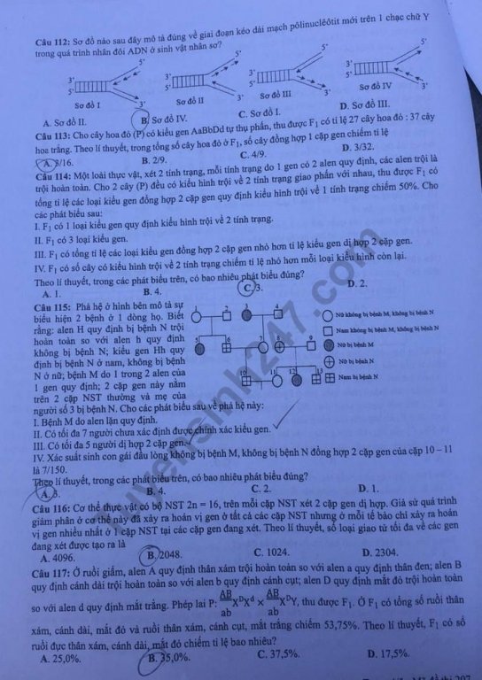 de-thi-va-dap-an-mon-sinh-thpt-quoc-gia-2019-ma-de-207