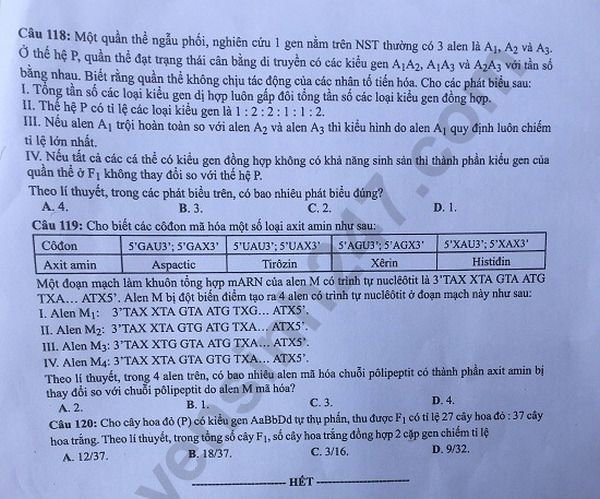 Đề thi và đáp án môn Sinh THPT quốc gia 2019 mã đề 208