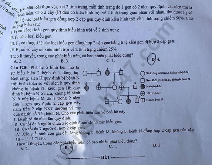 Đề thi và đáp án môn Sinh THPT quốc gia 2019 mã đề 210