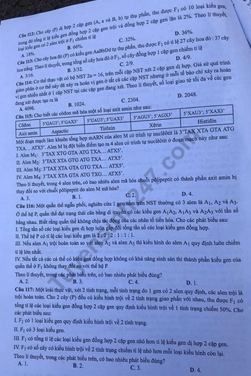 Đề thi và đáp án môn Sinh THPT quốc gia 2019 mã đề 215. Ảnh: Tuyensinh247