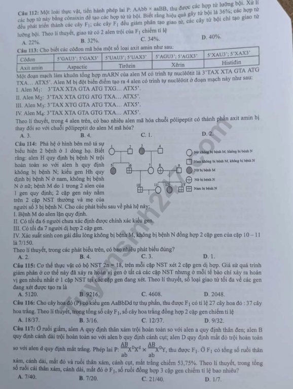 de-thi-va-dap-an-mon-sinh-thpt-quoc-gia-2019-ma-de-216