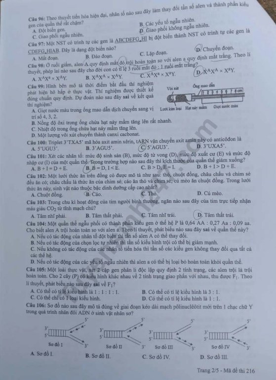 de-thi-va-dap-an-mon-sinh-thpt-quoc-gia-2019-ma-de-216
