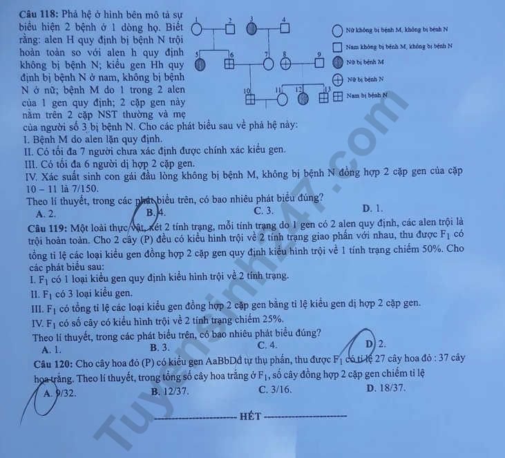 Đề thi và đáp án môn Sinh THPT quốc gia 2019 mã đề 219